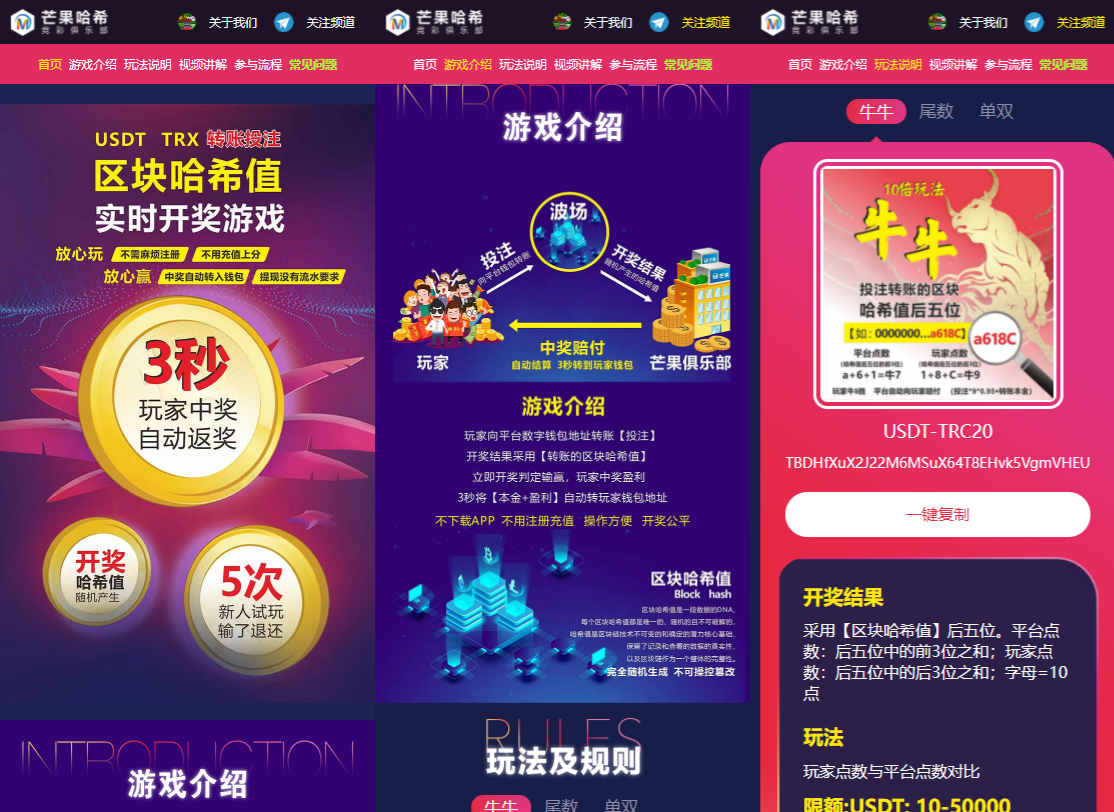 哈希竞猜智能合约返奖系统PHP源码