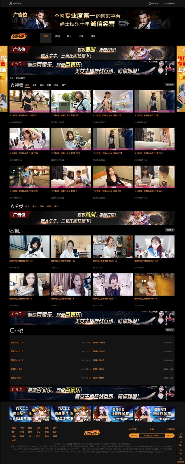 H站PHP网站源码 小说阅读与图片管理 系统下载