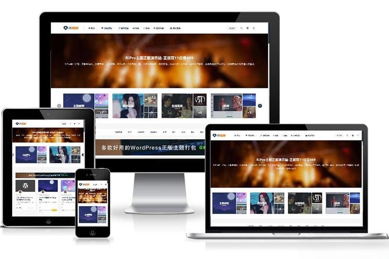 RiPro 付费资源下载 WordPress主题源码