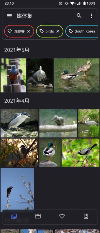 【Android】开源照片和视频管理APP Aves v1.13.2