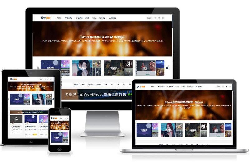RiPro9.0 二开优化版 WordPress主题美化包 稀缺插件资源
